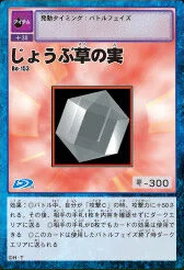防禦的種子 (Defense Seed)